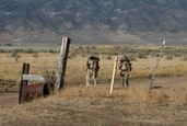 2012 Competition Dynamics 24-Hour Sniper Adventure Challenge
 - photo 165 