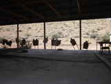  - photo 5 