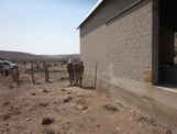  - photo 8 