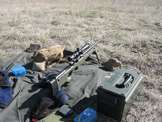 Accuracy International Arctic Warfare rifle, caliber 308WIN, 24
