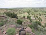 Shoot pictures from the Blue Steel Ranch, Logan NM
 - photo 202 