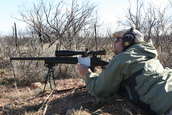 Shoot pictures from the Blue Steel Ranch, Logan NM
 - photo 17 