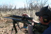 Shoot pictures from the Blue Steel Ranch, Logan NM
 - photo 19 
