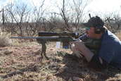 Shoot pictures from the Blue Steel Ranch, Logan NM
 - photo 21 