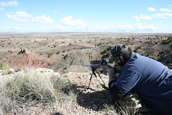 Shoot pictures from the Blue Steel Ranch, Logan NM
 - photo 56 