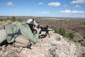Shoot pictures from the Blue Steel Ranch, Logan NM
 - photo 76 