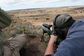 Shoot pictures from the Blue Steel Ranch, Logan NM
 - photo 132 