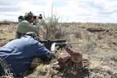 Shoot pictures from the Blue Steel Ranch, Logan NM
 - photo 139 