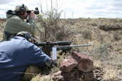 Shoot pictures from the Blue Steel Ranch, Logan NM
 - photo 140 