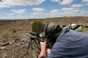 Shoot pictures from the Blue Steel Ranch, Logan NM
 - photo 144 