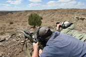 Shoot pictures from the Blue Steel Ranch, Logan NM
 - photo 145 