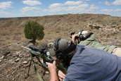 Shoot pictures from the Blue Steel Ranch, Logan NM
 - photo 146 