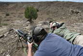 Shoot pictures from the Blue Steel Ranch, Logan NM
 - photo 153 