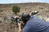 Shoot pictures from the Blue Steel Ranch, Logan NM
 - photo 154 