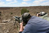 Shoot pictures from the Blue Steel Ranch, Logan NM
 - photo 155 