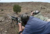 Shoot pictures from the Blue Steel Ranch, Logan NM
 - photo 156 