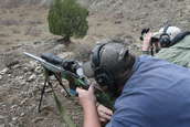 Shoot pictures from the Blue Steel Ranch, Logan NM
 - photo 157 