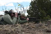 Shoot pictures from the Blue Steel Ranch, Logan NM
 - photo 162 
