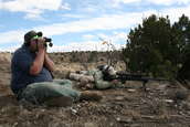 Shoot pictures from the Blue Steel Ranch, Logan NM
 - photo 168 