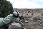 Shoot pictures from the Blue Steel Ranch, Logan NM
 - photo 170 
