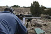 Shoot pictures from the Blue Steel Ranch, Logan NM
 - photo 180 
