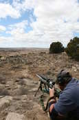 Shoot pictures from the Blue Steel Ranch, Logan NM
 - photo 186 
