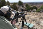 Shoot pictures from the Blue Steel Ranch, Logan NM
 - photo 190 
