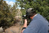 Shoot pictures from the Blue Steel Ranch, Logan NM
 - photo 225 