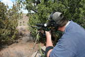 Shoot pictures from the Blue Steel Ranch, Logan NM
 - photo 226 
