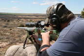 Shoot pictures from the Blue Steel Ranch, Logan NM
 - photo 240 