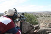 Shoot pictures from the Blue Steel Ranch, Logan NM
 - photo 251 