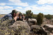 Shoot pictures from the Blue Steel Ranch, Logan NM
 - photo 253 