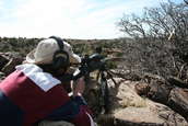 Shoot pictures from the Blue Steel Ranch, Logan NM
 - photo 257 