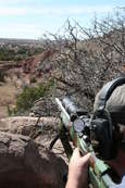 Shoot pictures from the Blue Steel Ranch, Logan NM
 - photo 266 