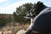 Shoot pictures from the Blue Steel Ranch, Logan NM
 - photo 275 