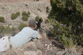 Shoot pictures from the Blue Steel Ranch, Logan NM
 - photo 34 