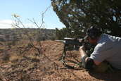 Shoot pictures from the Blue Steel Ranch, Logan NM
 - photo 99 