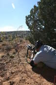 Shoot pictures from the Blue Steel Ranch, Logan NM
 - photo 102 