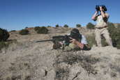 Shoot pictures from the Blue Steel Ranch, Logan NM
 - photo 109 