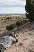 Shoot pictures from the Blue Steel Ranch, Logan NM

 - photo 20 