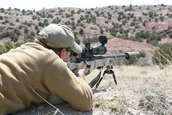 Shoot pictures from the Blue Steel Ranch, Logan NM

 - photo 206 