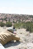Shoot pictures from the Blue Steel Ranch, Logan NM

 - photo 212 