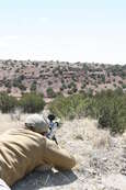 Shoot pictures from the Blue Steel Ranch, Logan NM

 - photo 214 