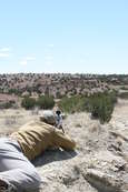 Shoot pictures from the Blue Steel Ranch, Logan NM

 - photo 218 
