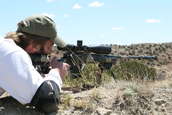 Shoot pictures from the Blue Steel Ranch, Logan NM

 - photo 230 