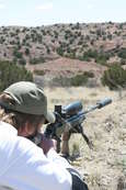 Shoot pictures from the Blue Steel Ranch, Logan NM

 - photo 250 