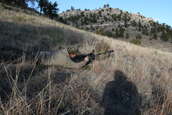 Colorado Multi-Gun match at Camp Guernsery ARNG Base 11/2006 - Facilities and Setup
 - photo 184 