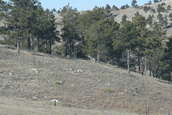 Colorado Multi-Gun match at Camp Guernsery ARNG Base 11/2006 - Facilities and Setup
 - photo 240 