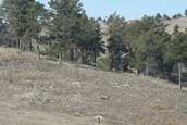Colorado Multi-Gun match at Camp Guernsery ARNG Base 11/2006 - Facilities and Setup
 - photo 241 