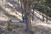 Colorado Multi-Gun match at Camp Guernsery ARNG Base 11/2006 - Match
 - photo 221 